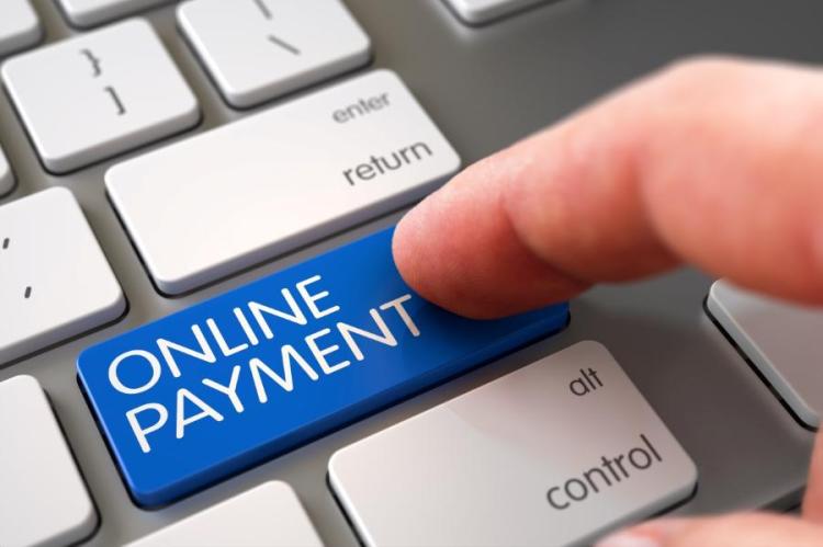 Online Portal Payment