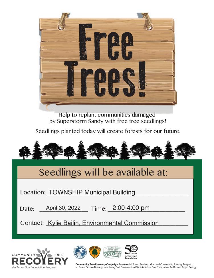 Tree Seedling Poster